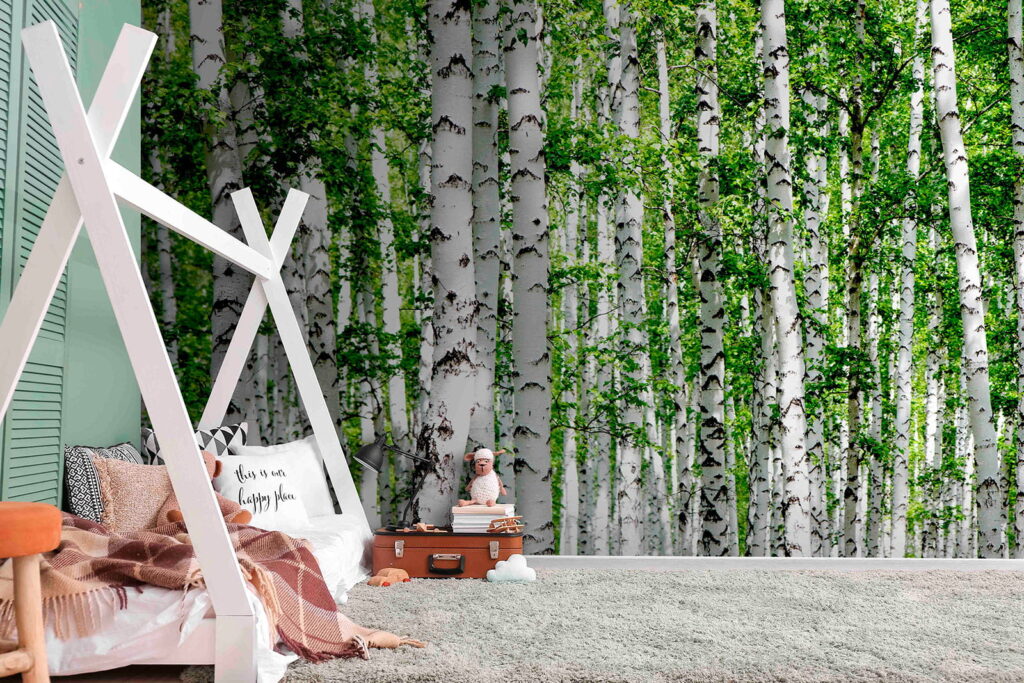 u53519pir1 1024x683 - Group of trees with green leaves - tegory