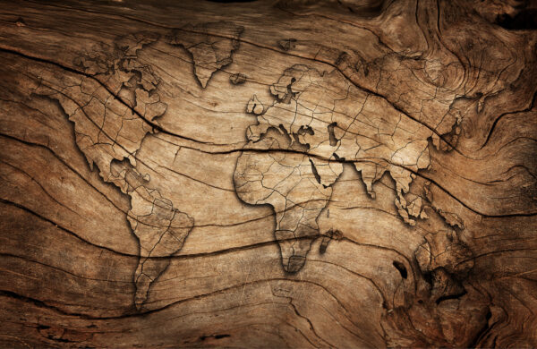 Map of the world on a piece of wood Map of the world on a piece of wood
