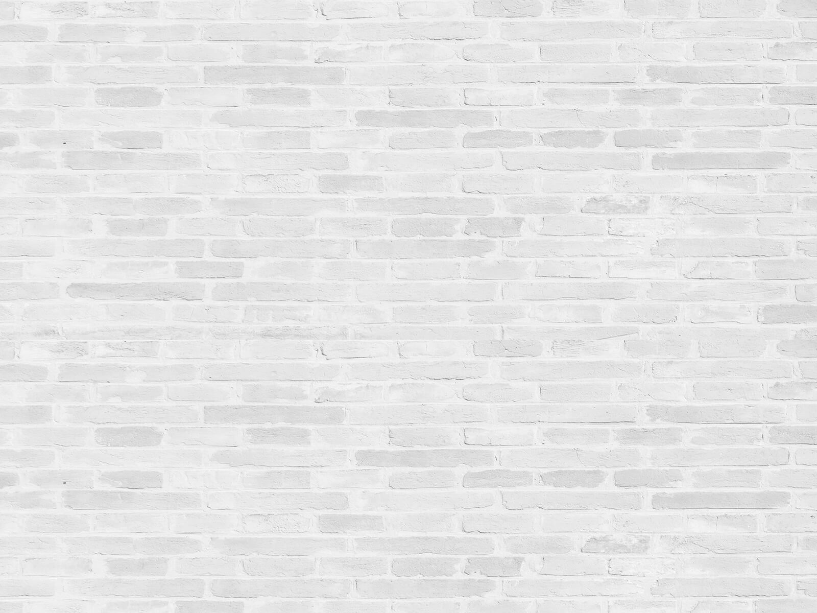 u53030p - White brick wall with many rectangular bricks - tegory