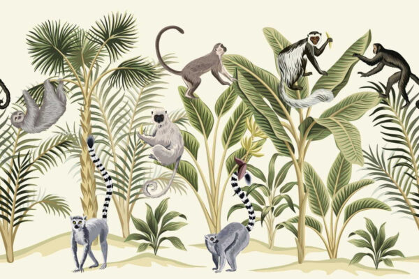 Group of monkeys and plants Group of monkeys and plants