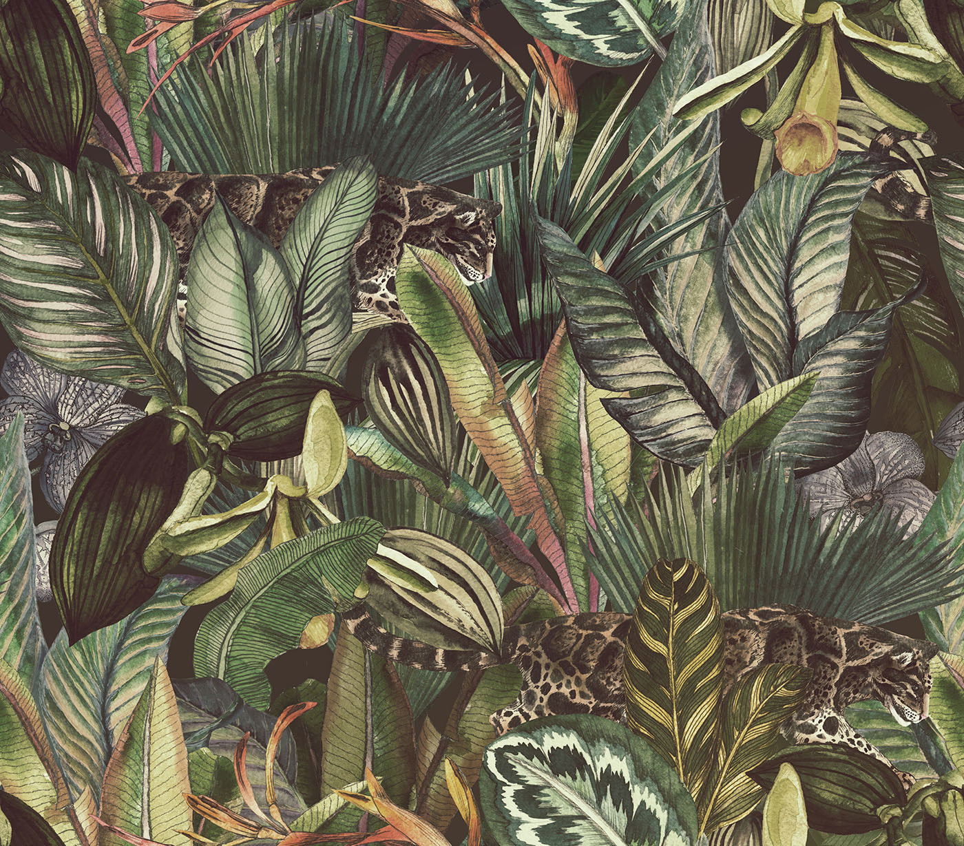 Pattern of tropical plants