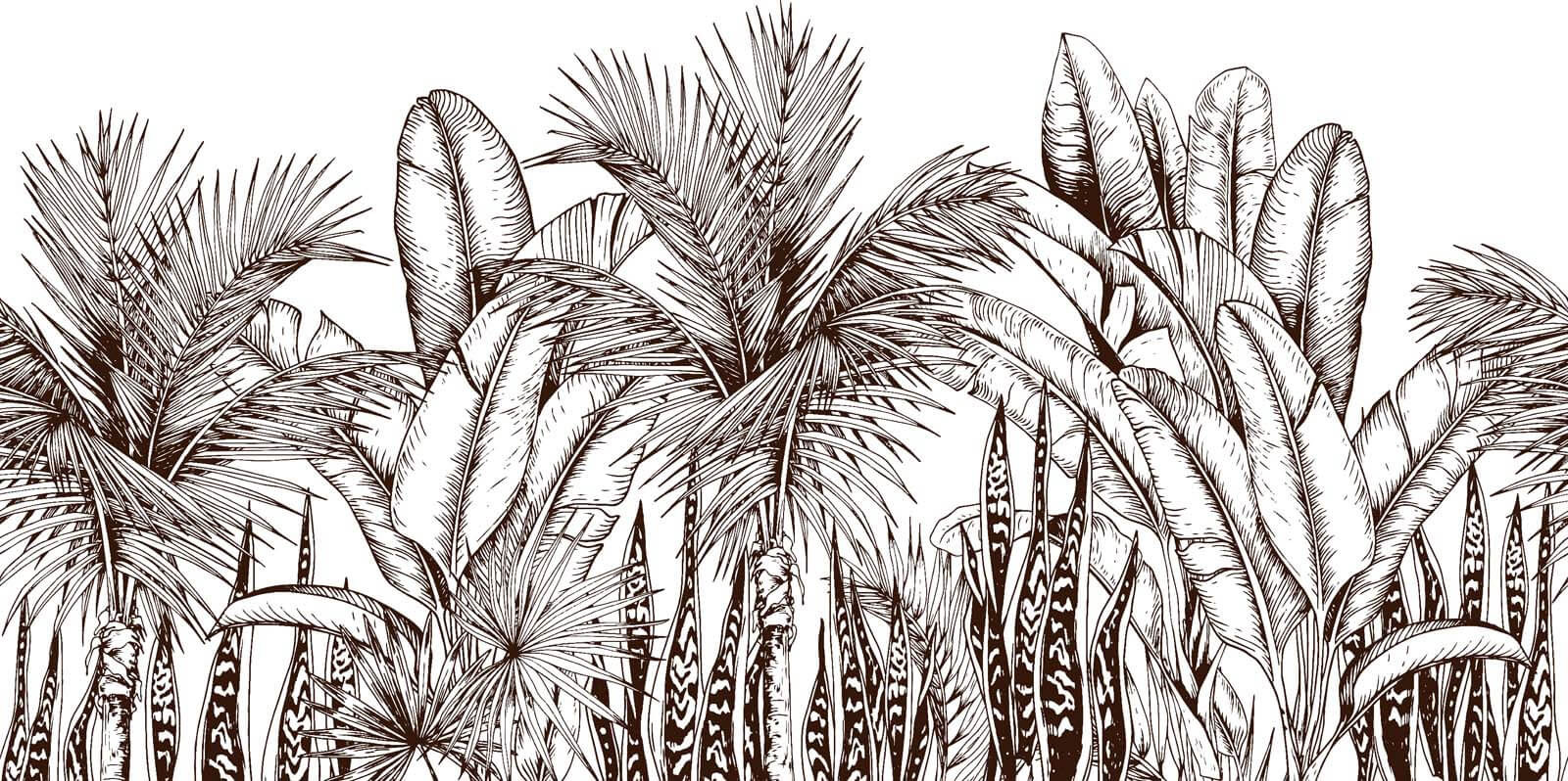 Group of palm trees u51098p - Group of palm trees - tegory