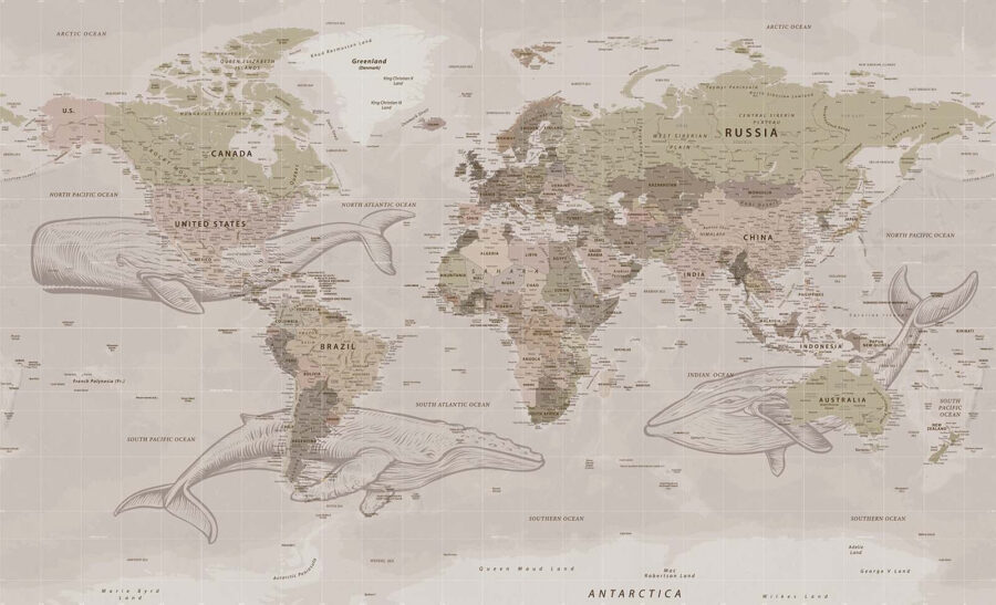 Map of the world with whales