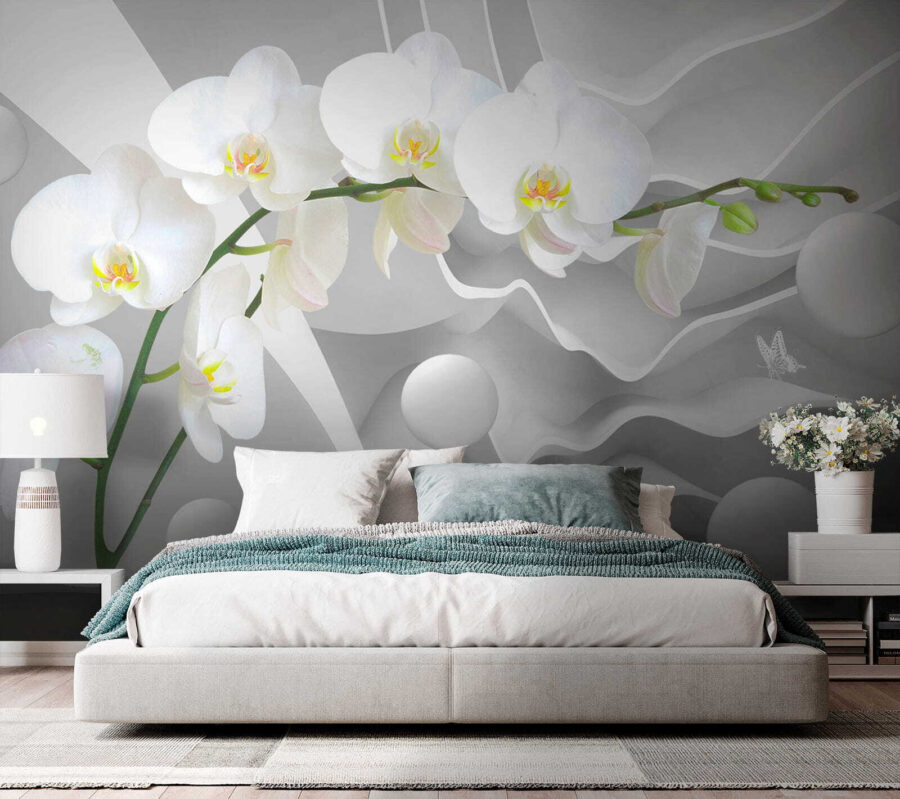 White orchids and white balls