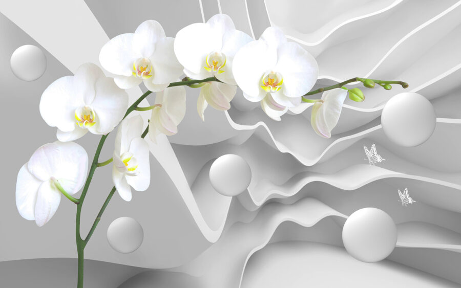 White orchids and white balls