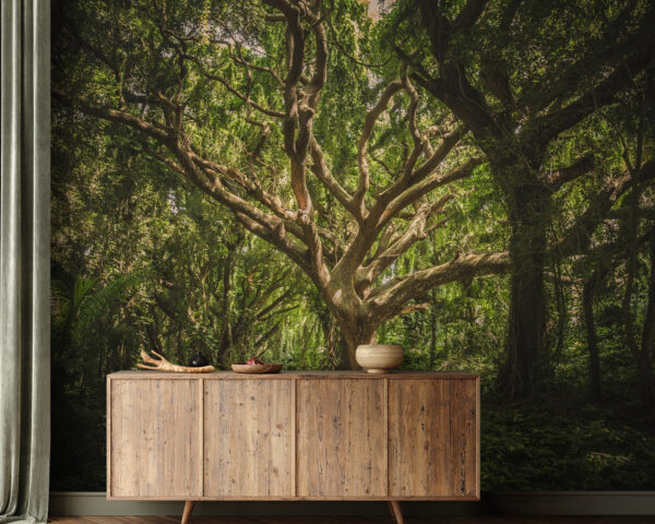 Large tree in a forest Large tree in a forest