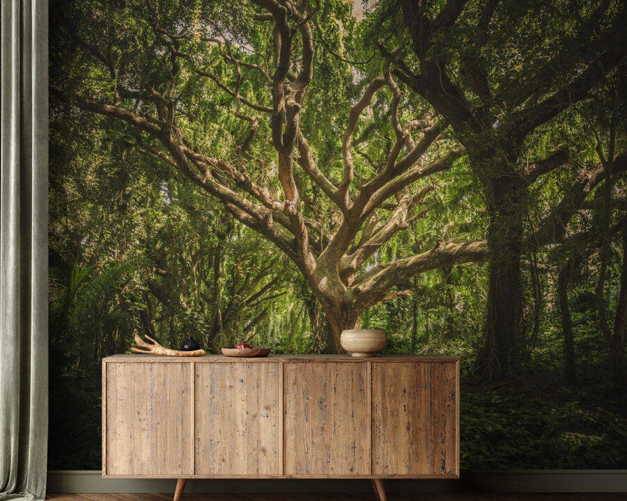 Large tree in a forest