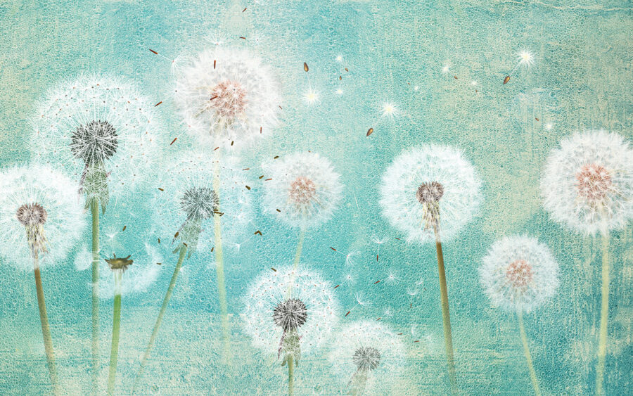 Group of dandelions in the air