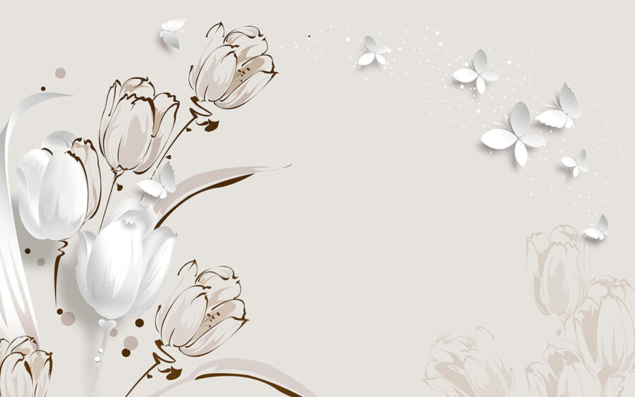 White tulips and butterflies u42642p 900x563 - White tulips and butterflies - tegory