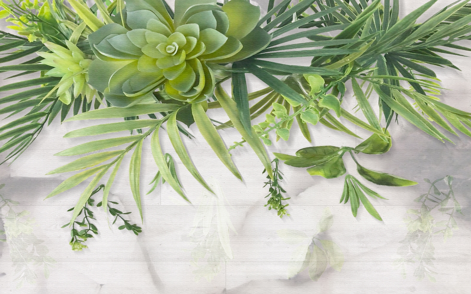 Green plant with leaves