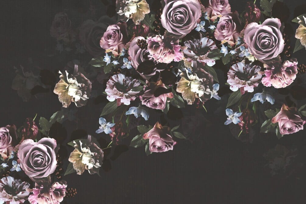 Group of flowers on a black background Group of flowers on a black background