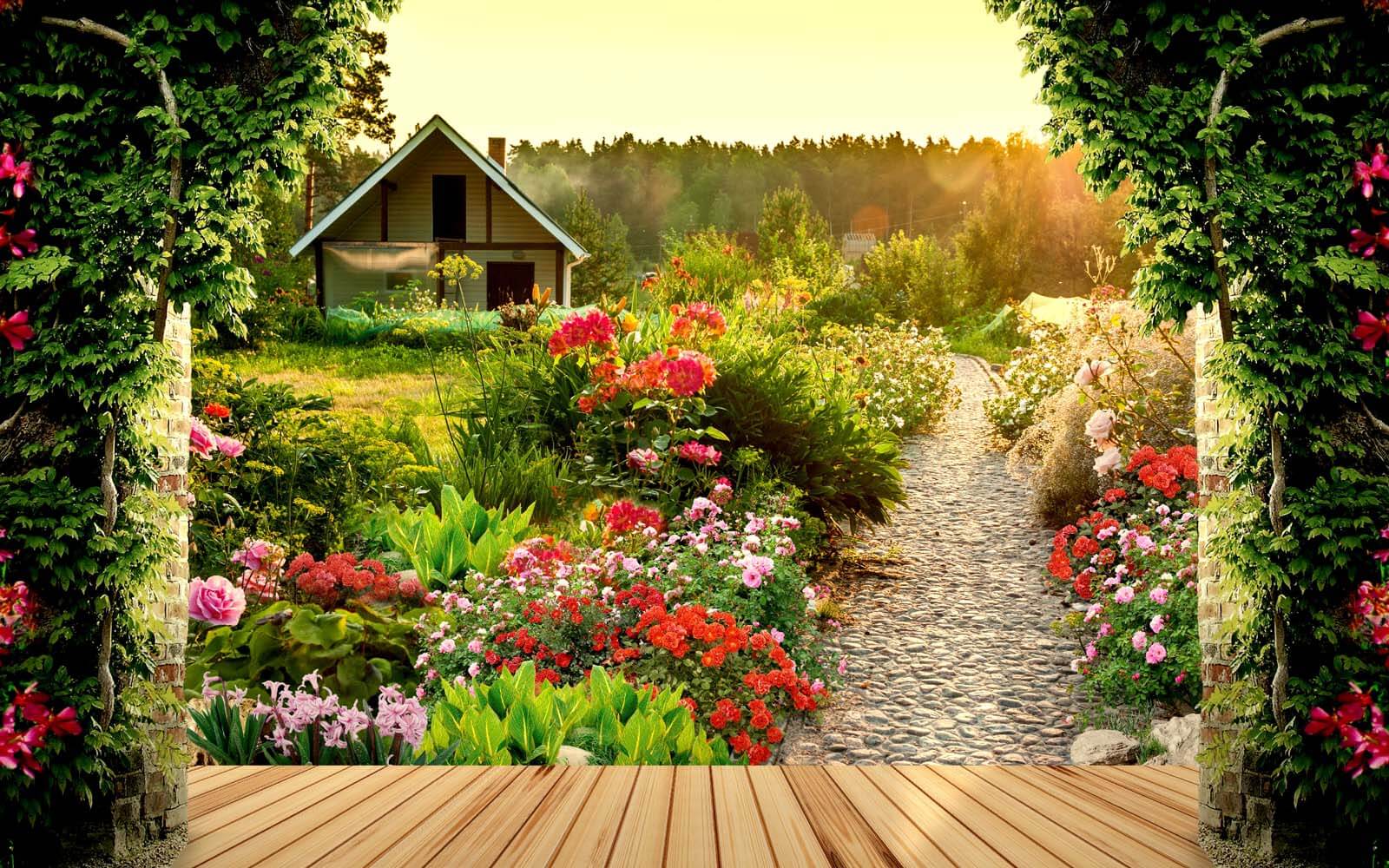 Garden with flowers and a house u42243p - Garden with flowers and a house - tegory