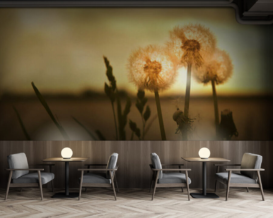 Wall murals Dandelions basking in warm light - Image 2