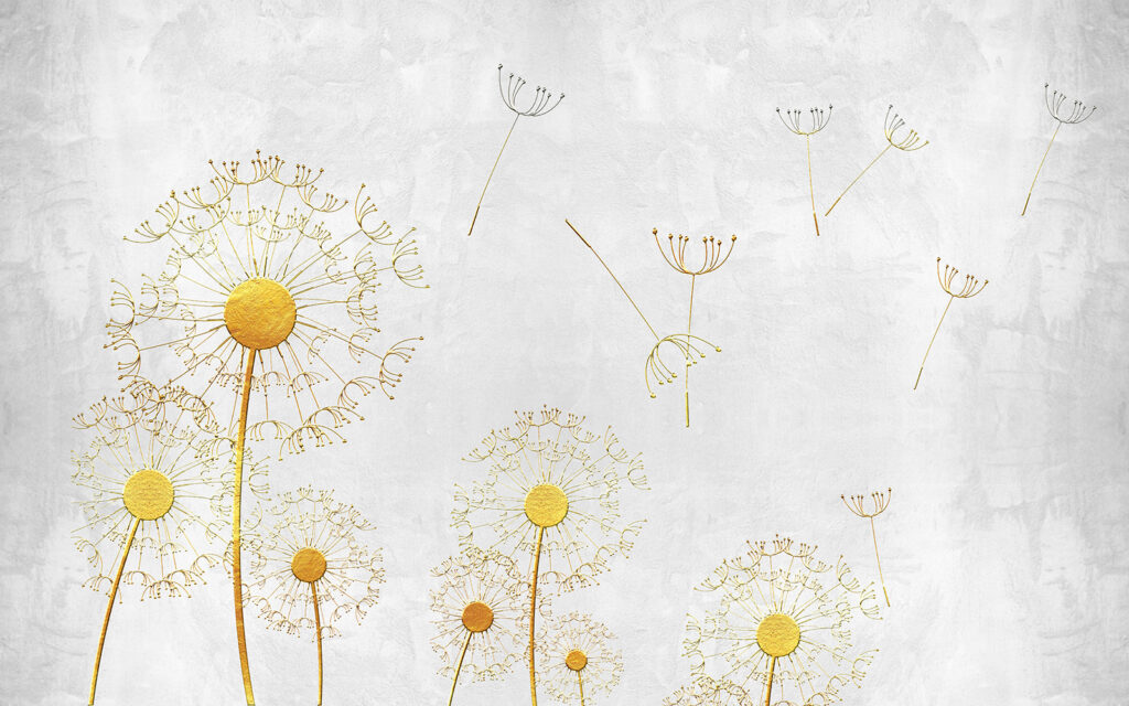 Yellow dandelions with seeds Yellow dandelions with seeds