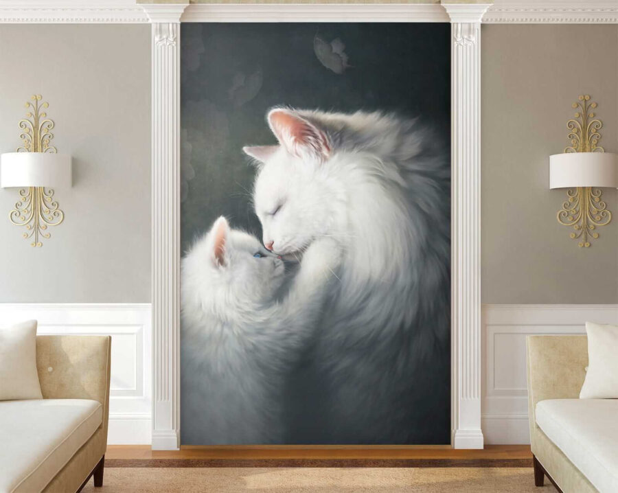 Cat and kitten kissing