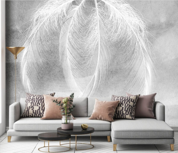 u37714pig1 600x516 - Delicate feathers in soft light - tegory