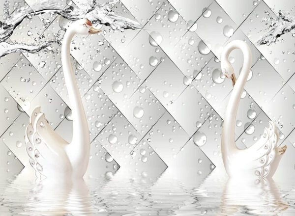White swans in water White swans in water