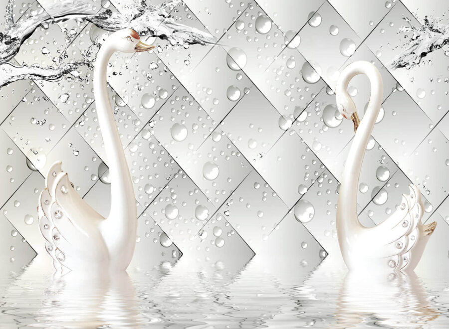 White swans in water