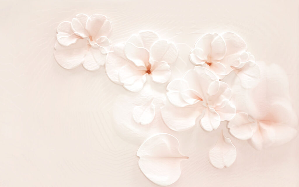 u37030p 1024x640 - Group of white flowers - tegory