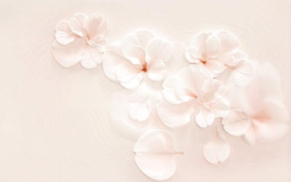 Group of white flowers u37030p 600x375 - Group of white flowers - tegory