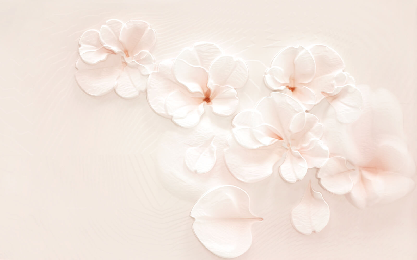 Group of white flowers u37030p - Group of white flowers - tegory