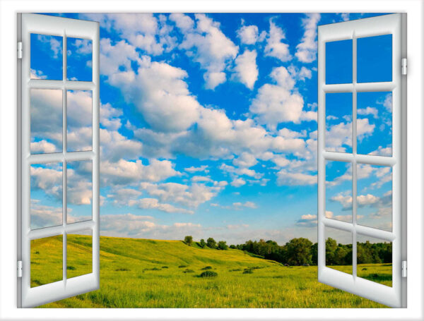 Open window with trees and grass field Open window with trees and grass field