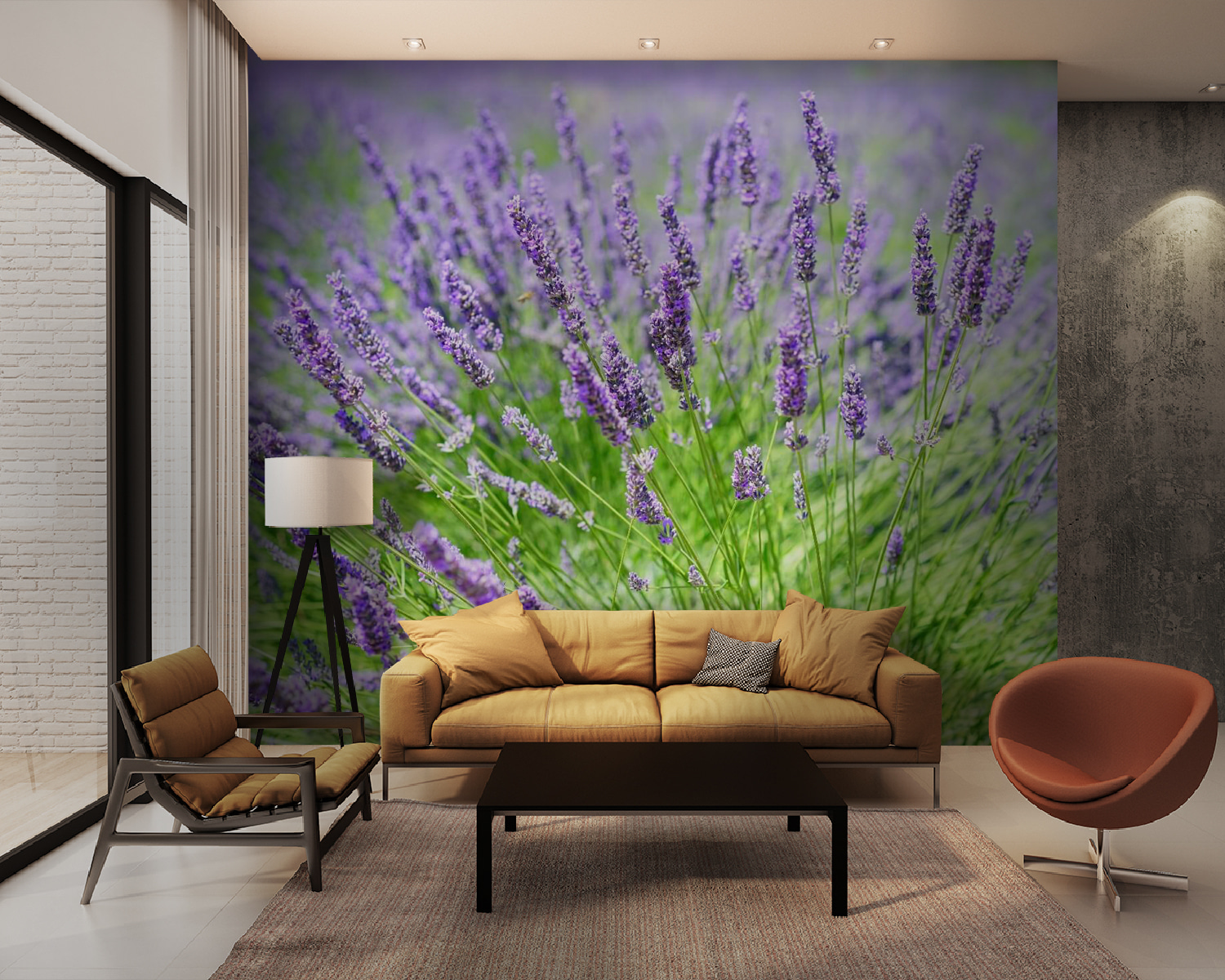 u36335pig28m - Vibrant lavender field in bloom - tegory