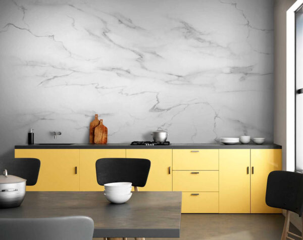 White marble with black veins