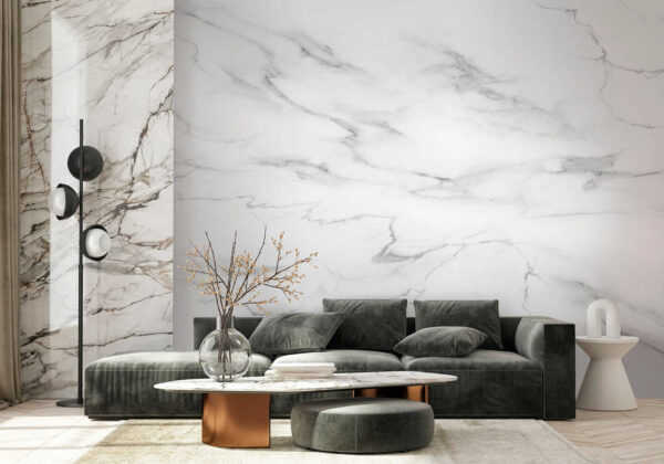 White marble with black veins