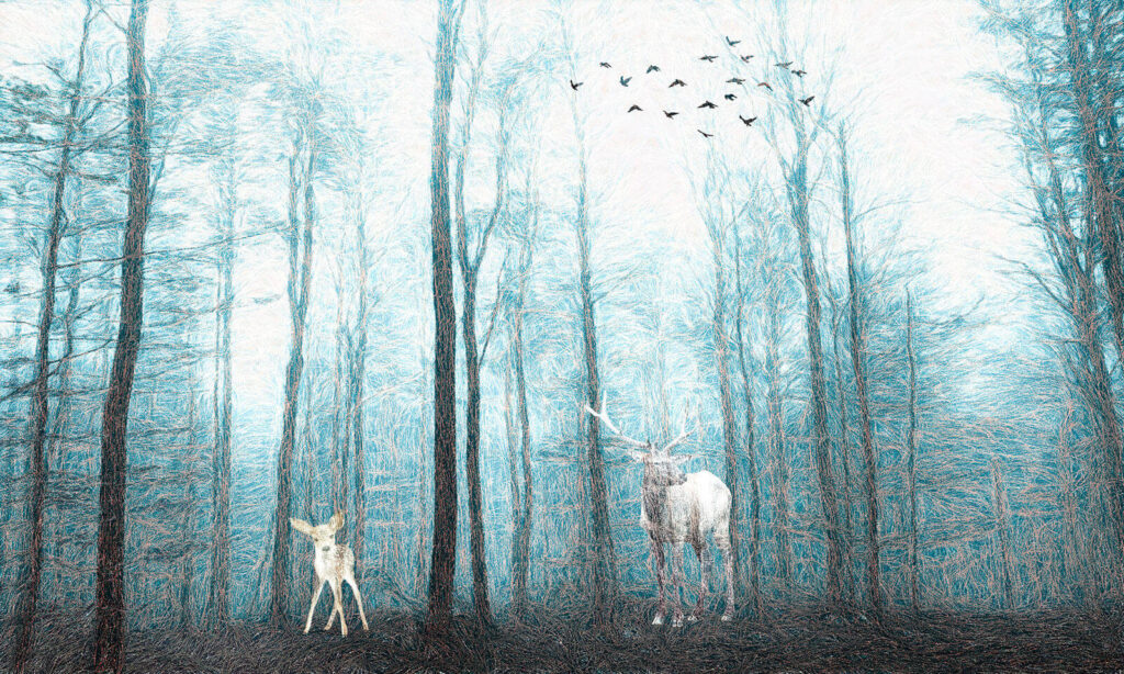 Deer in the woods Deer in the woods