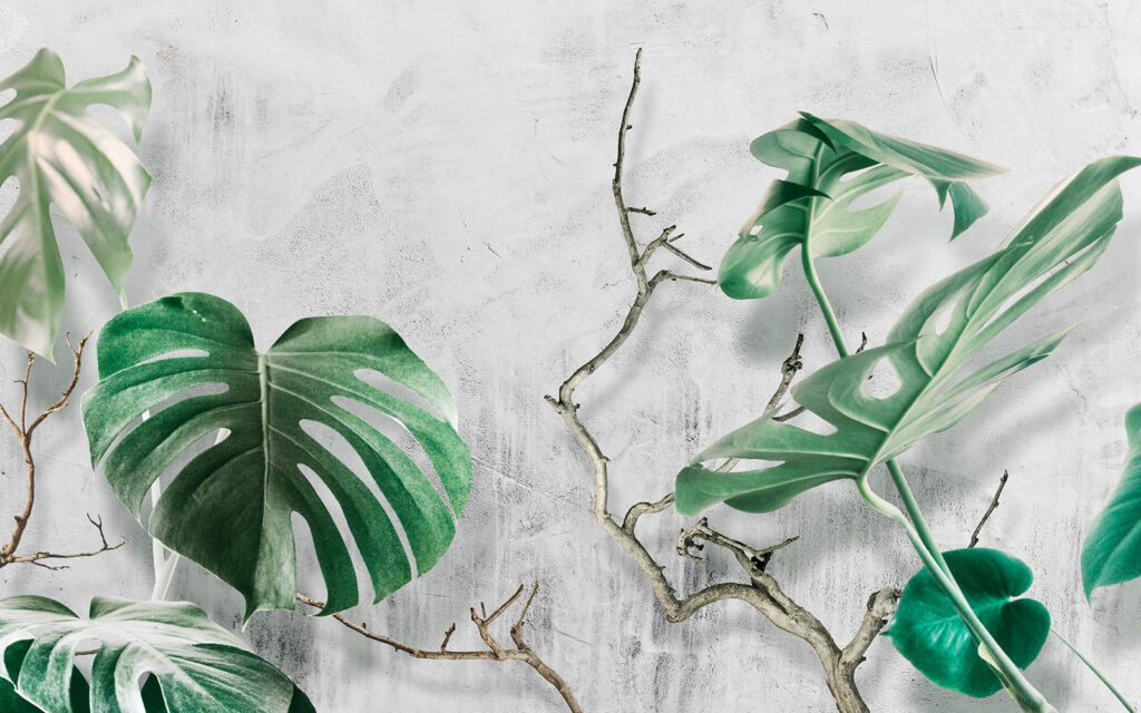 Lush leaves against a textured backdrop Lush leaves against a textured backdrop