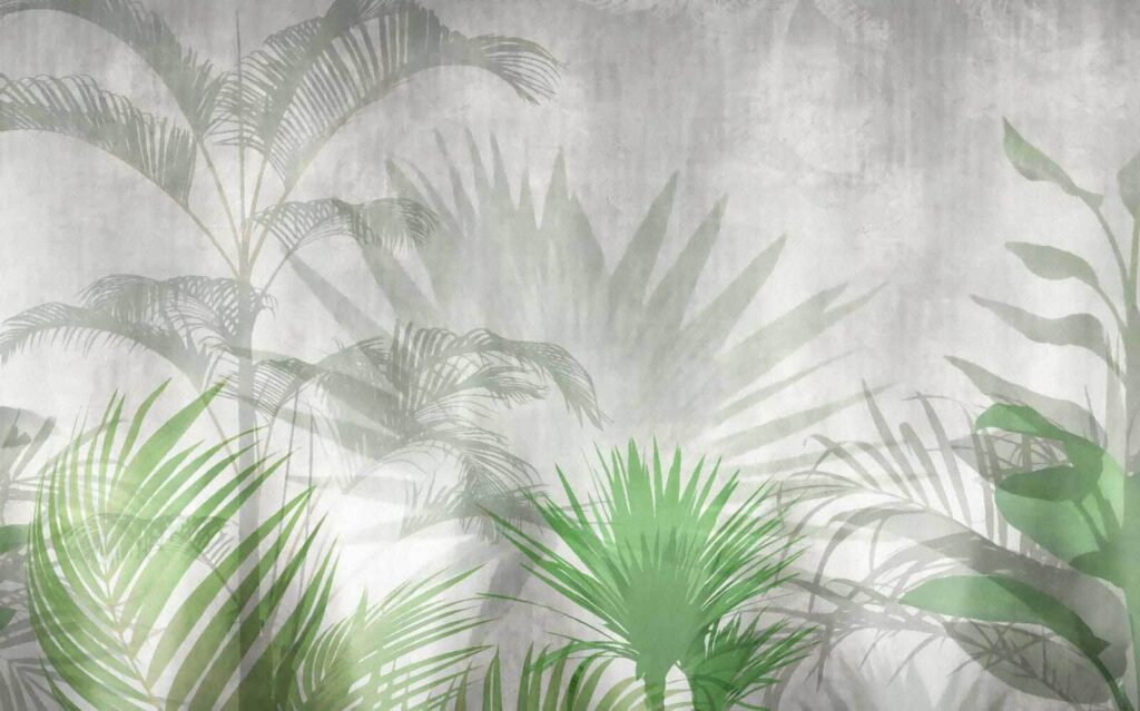 Shadow of a palm tree Shadow of a palm tree