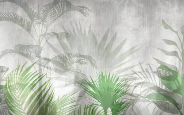 Shadow of a palm tree Shadow of a palm tree