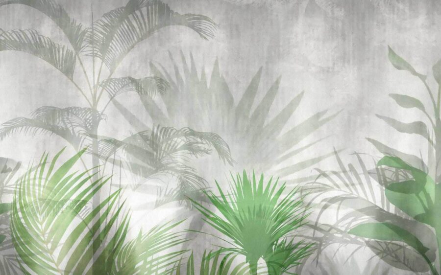 Shadow of a palm tree
