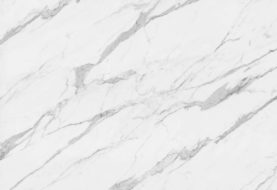 White marble with black veins