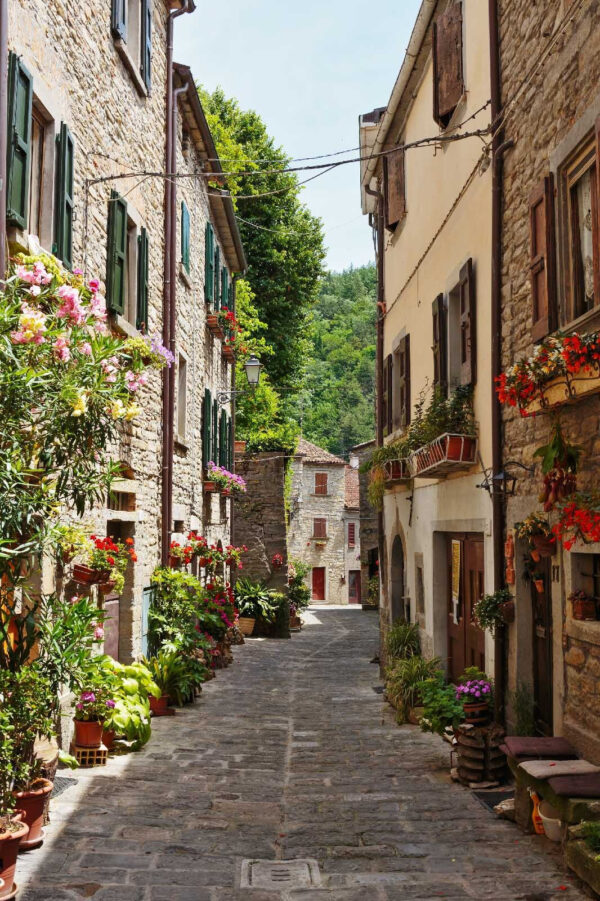 Narrow street with flowers and plants on the side