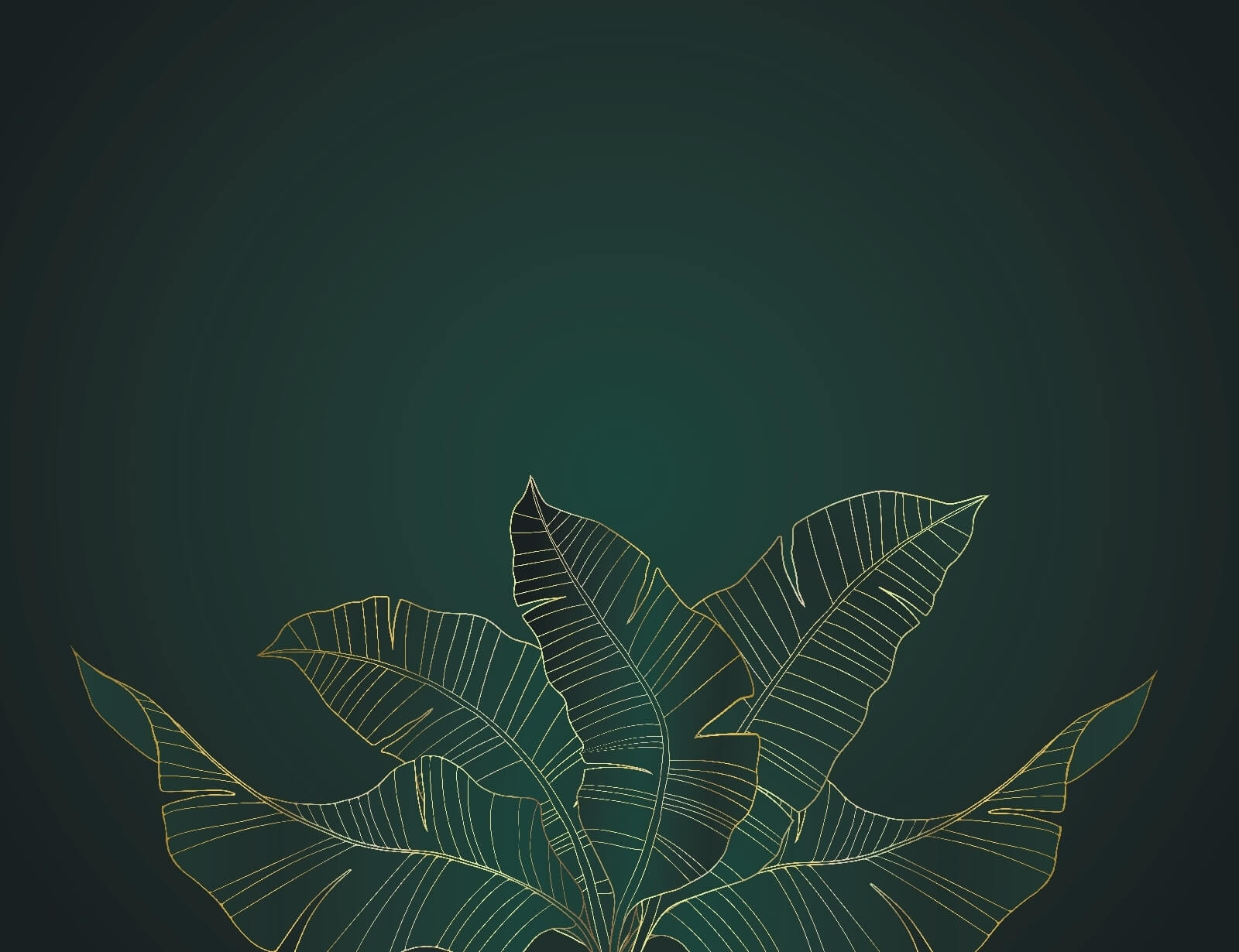 u32469p - Elegant leaves on a dark background - tegory