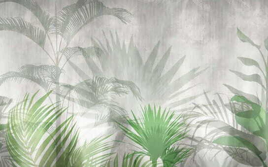 u32441p - Group of palm trees - tegory