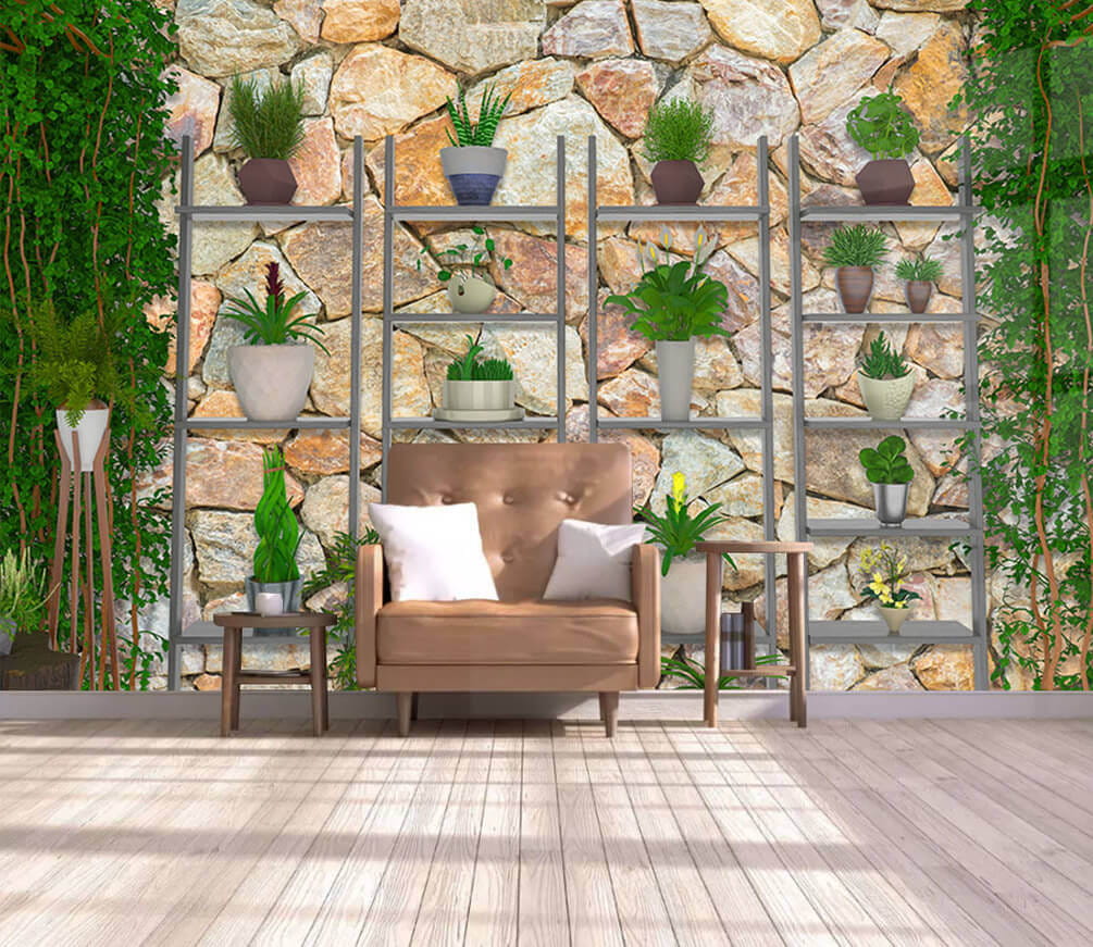 Group of plants on shelves u28948pig1m - Group of plants on shelves - tegory