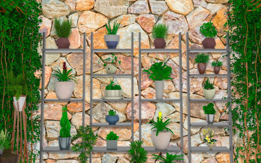 Group of plants on shelves