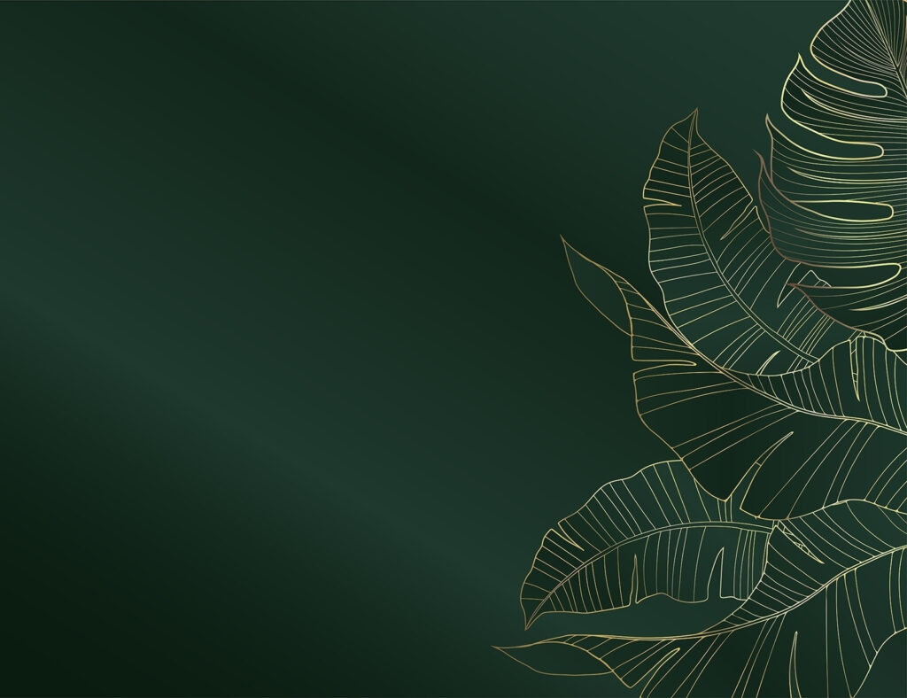 Elegant foliage on dark emerald backdrop Elegant foliage on dark emerald backdrop