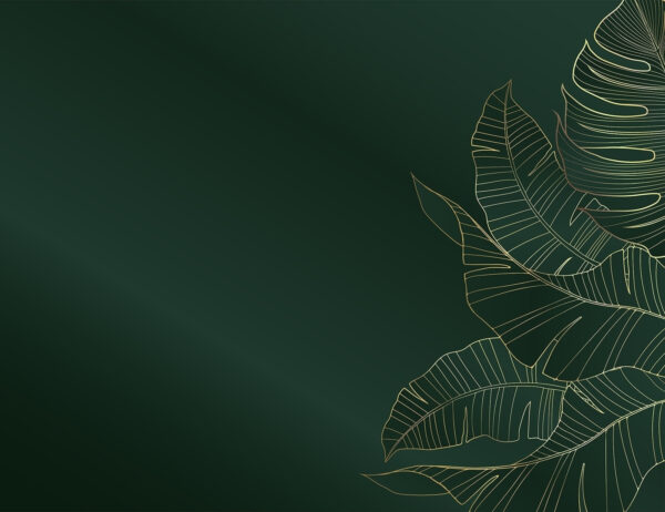 Elegant foliage on dark emerald backdrop Elegant foliage on dark emerald backdrop