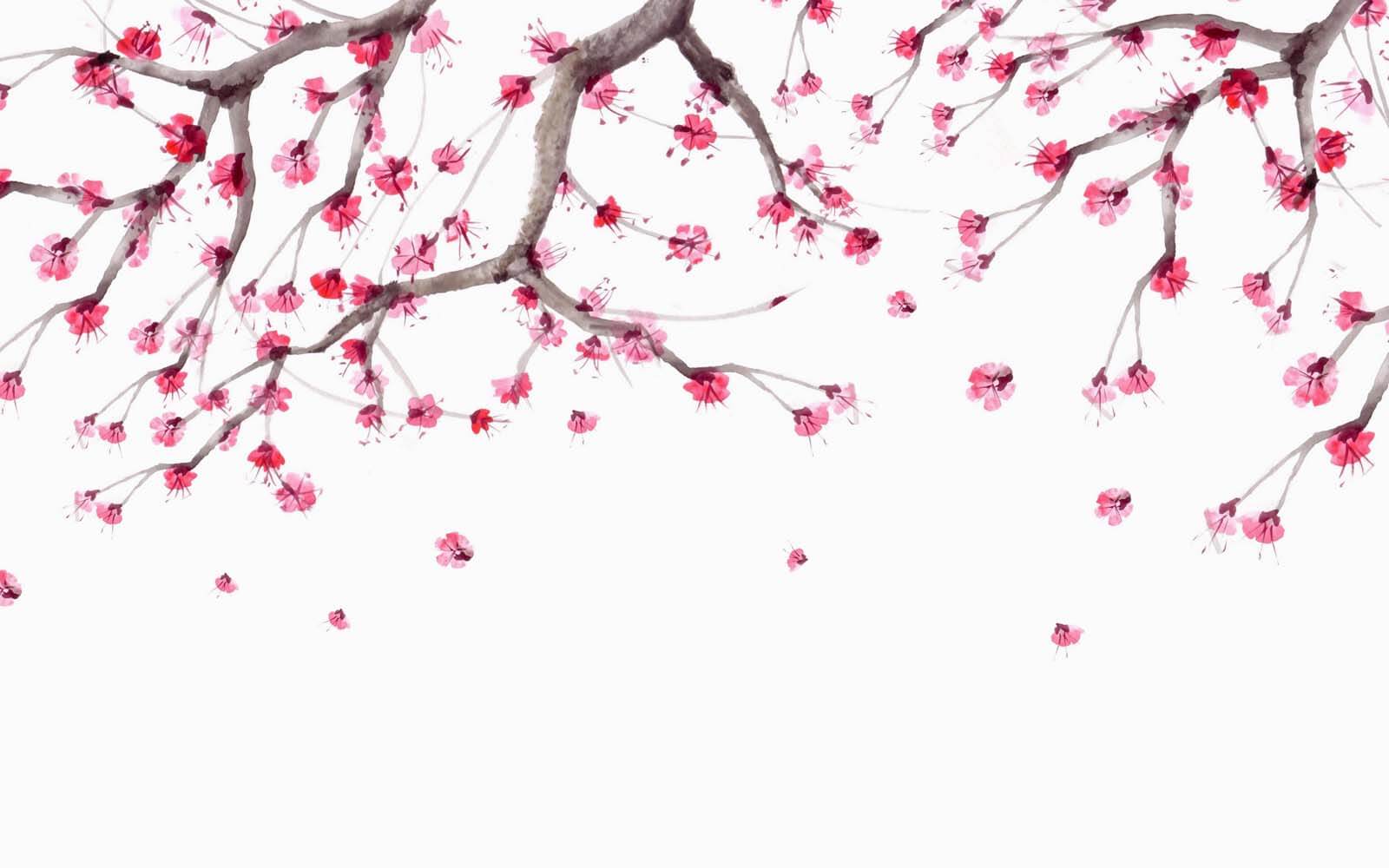 Tree with pink flowers u28004p - Tree with pink flowers - tegory