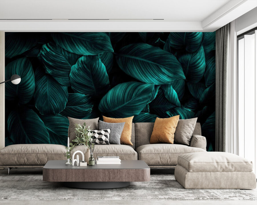 Group of dark green leaves u27566pig63 900x720 - Group of dark green leaves - tegory