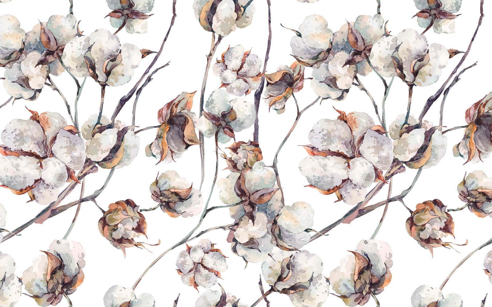 u25957p - Pattern of cotton flowers - tegory