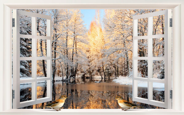 Window with birds looking out of a lake Window with birds looking out of a lake