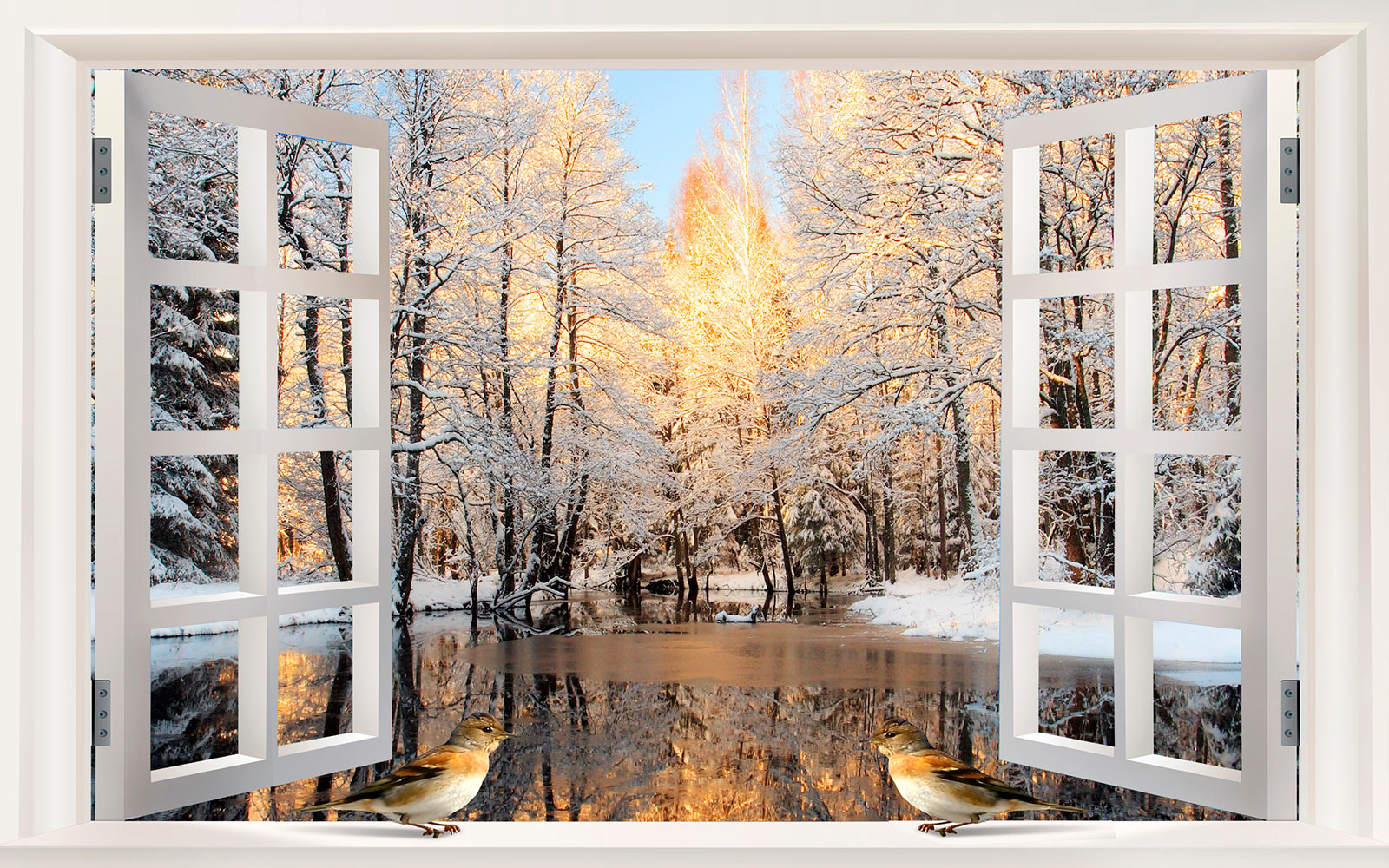 u25116p - Window with birds looking out of a lake - tegory