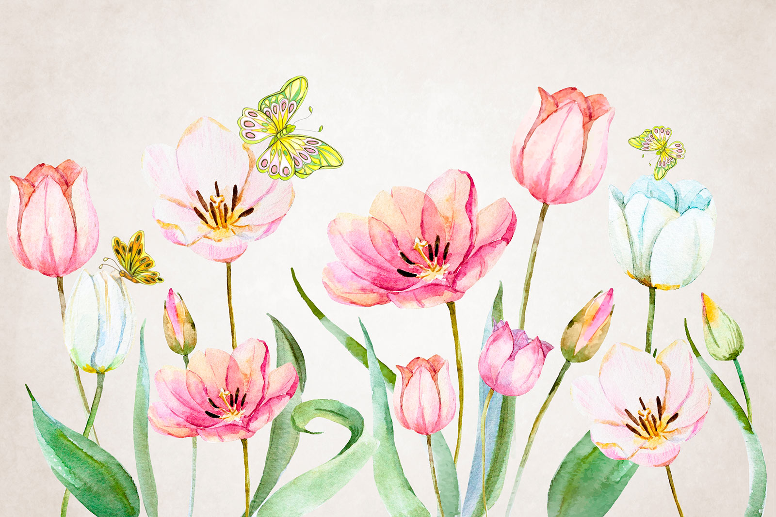 u24484p - Painting of flowers and butterflies - tegory