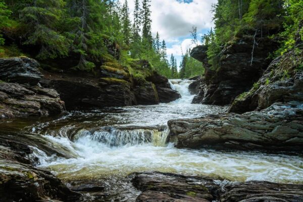 River with rocks and trees u22898p 600x401 - River with rocks and trees - tegory