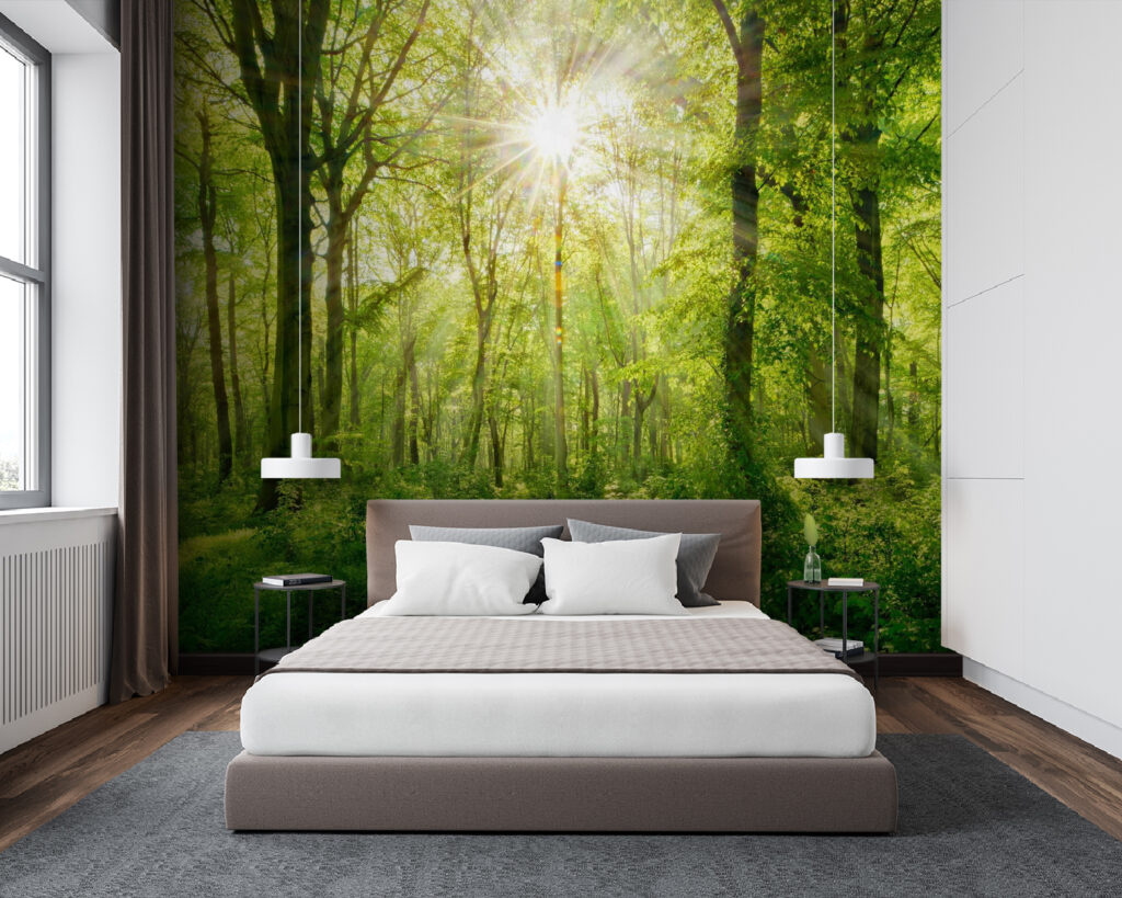 Path through a forest with trees and plants